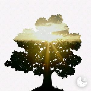 Meet your Posher, Kendra